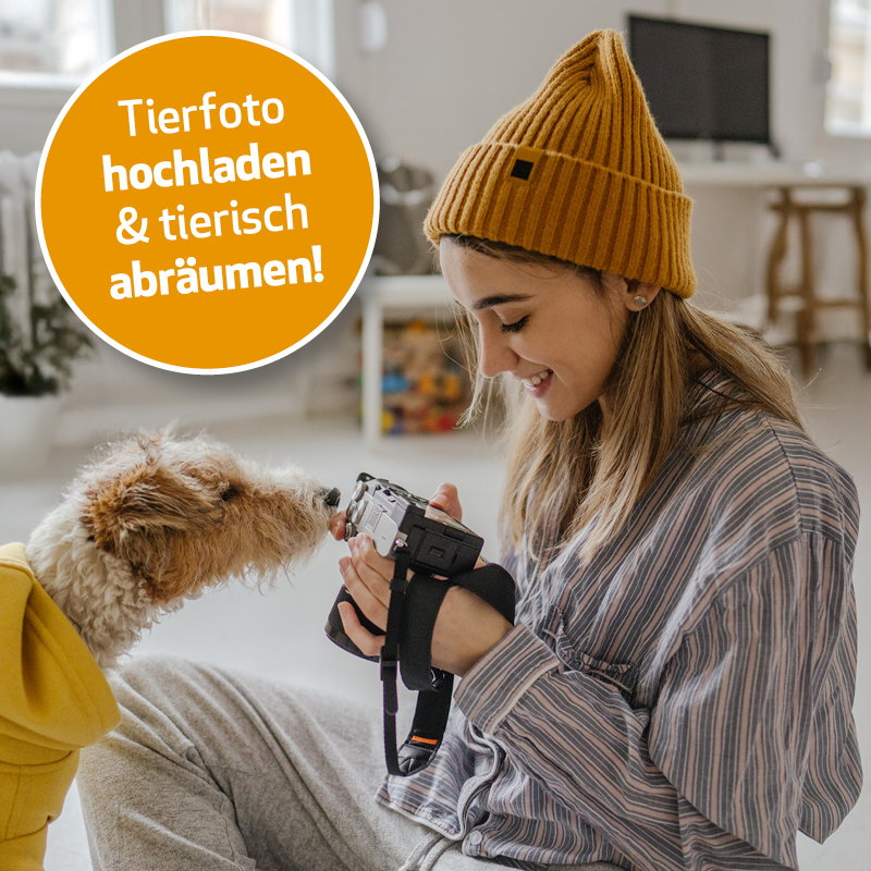 Eine junge Frau sitzt mit ihrem Hund in einem hellen Raum. Sie hält eine Kamera und fotografiert das Tier, das neugierig in die Linse schaut. In der linken Bildhälfte steht in einem orangen Kreis: „Tierfoto hochladen & tierisch abräumen!“