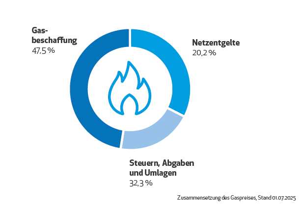 Kreisdiagramm zeigt die prozentuale Zusammensetzung des Gaspreises 2025 mit Anteilen für Beschaffung, Vertrieb, Netzentgelte, Steuern und Abgaben.